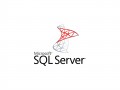 Microsoft SQL Server (Bild: Microsoft)